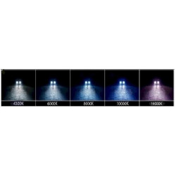 Kit Phare Xenon 55w Ampoule - H3 10000k / Bleu-Violet BF-HID H3 55w