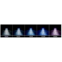 Kit Phare Xenon 55w Ampoule H4, - 10000k / Bleu-Violet BF-HID H4 Simple