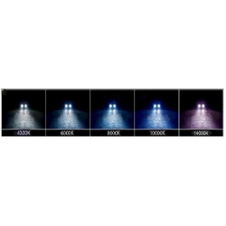 Kit Phare Xenon 55w Ampoule Hb3 / 9005 -, 10000k / Bleu-Violet BF-HID Hb3 55w