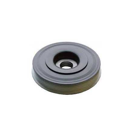 ​Poulie damper ( vilbrequin ) Opel : Astra , Frontera , Omega , Signum , Sintra , Vectra , Zafira , Saab : 9-3 , 9-5 RKPPL001