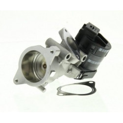 Vanne EGR : Citroen , Fiat , Ford , Lancia , Peugeot , Volvo ( moteur 2.0 HDI 16v ) BF-419002