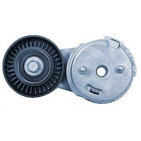 Galet tendeur Citroen : Berlingo, C3, C5, Xsara, Xsara Picasso, Ford : Fiesta, Fusion, Peugeot : 206, 407, Partner BF-418006 ... Galet tendeur Citroen : Berlingo, C3, C5, Xsara, Xsara Picasso, Ford : Fiesta, Fusion, Peugeot : 206, 407, Partner BF-418006 ...