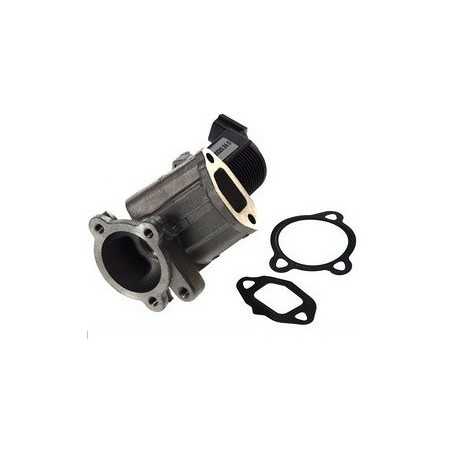 Vanne EGR Fiat : 500, Doblo, idea, Panda, Punto, Qubo, Lancia : Musa, Ypsilon, Opel : Agila, Corsa, Meriva, Suzuki Swift EGRF...