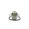 Thermostat d'eau 6045.89/J 6045.89/j