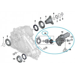 Pignon moteur actuateur moteur électrique boite de transfert BMW : Série 3 (E90, E91, E92, E93) , X3 (E83) , X5 (E53, E70) , ...