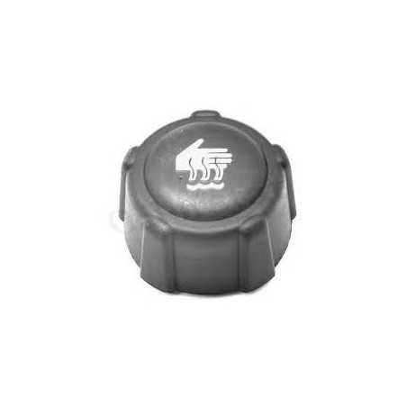 Bouchon vase d expansion Clio 2 Kangoo Megane 2 Scenic 2 Trafic 2 Espace 4 700210 Bouchon vase d expansion Clio 2 Kangoo Megane 2 Scenic 2 Trafic 2 Espace 4 700210