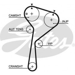 Courroie de distribution Dacia Logan, Renault : Clio, Kangoo, Mégane 2, Modus, Scénic 2, Twingo, Suzuki Jimny ( 1.5 DCI ) G5...