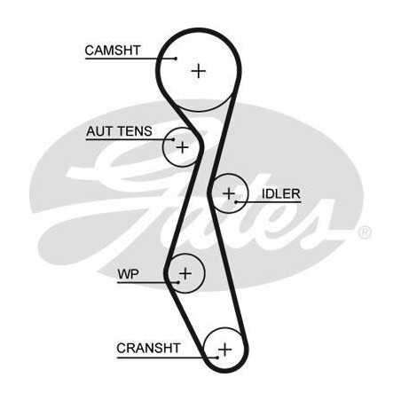 Courroie de distribution Citroen , Fiat , Ford, Jaguar , Lancia , Land Rover , Mitsubishi , Peugeot ( 2.2 HDI ) G5633XS Gate...