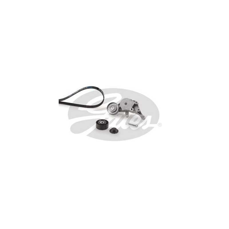 Kit de courroie d'accessoire Audi A3, Seat : Cordoba, Ibiza, Leon, Skoda Octavia, Volkswagen : Bora, Golf 4, Polo K066PK1660 ...
