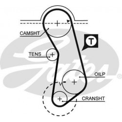 Courroie de distribution 121 dents : Audi , Seat , Porsche , Volkswagen  G5016 Gates VH