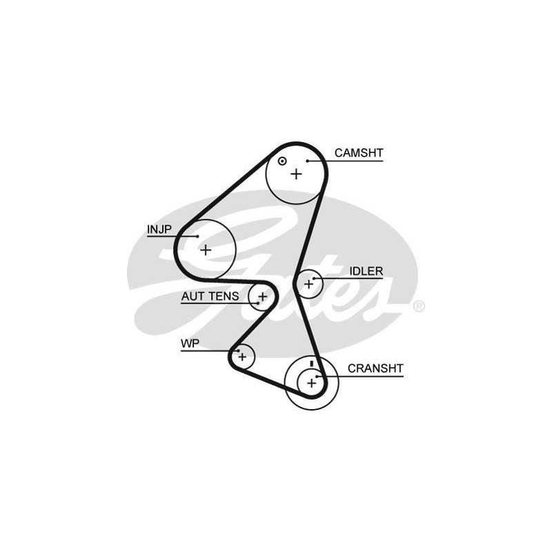Courroie de distribution 137 dents : Citroen, Fiat, Ford, Mazda, Mini, Peugeot, Suzuki, Volvo  G5598XS Gates VH