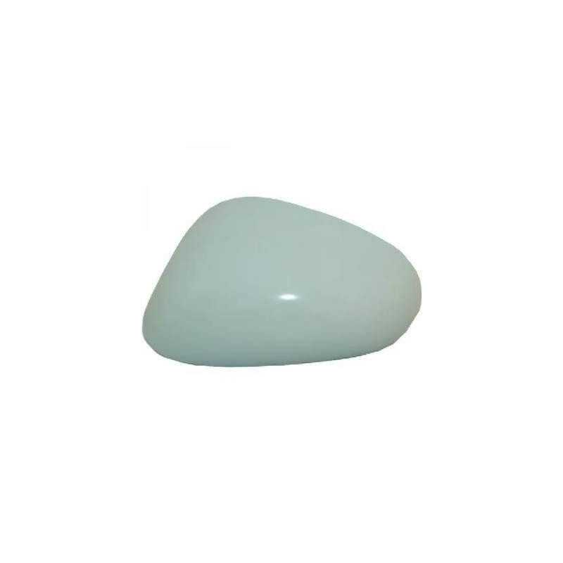 Coque de Retroviseur Gauche - Seat Leon 2 3425C01