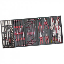 Module pour EVA3 - 5 inserts de 55 outils 4933.4F