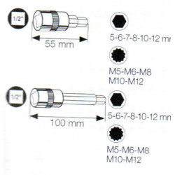 Coffret de Douille-Embouts 6 Pans et XZN 1/2" . 6 Pans 5 à 12 mm et XZN M5 à M12 2026