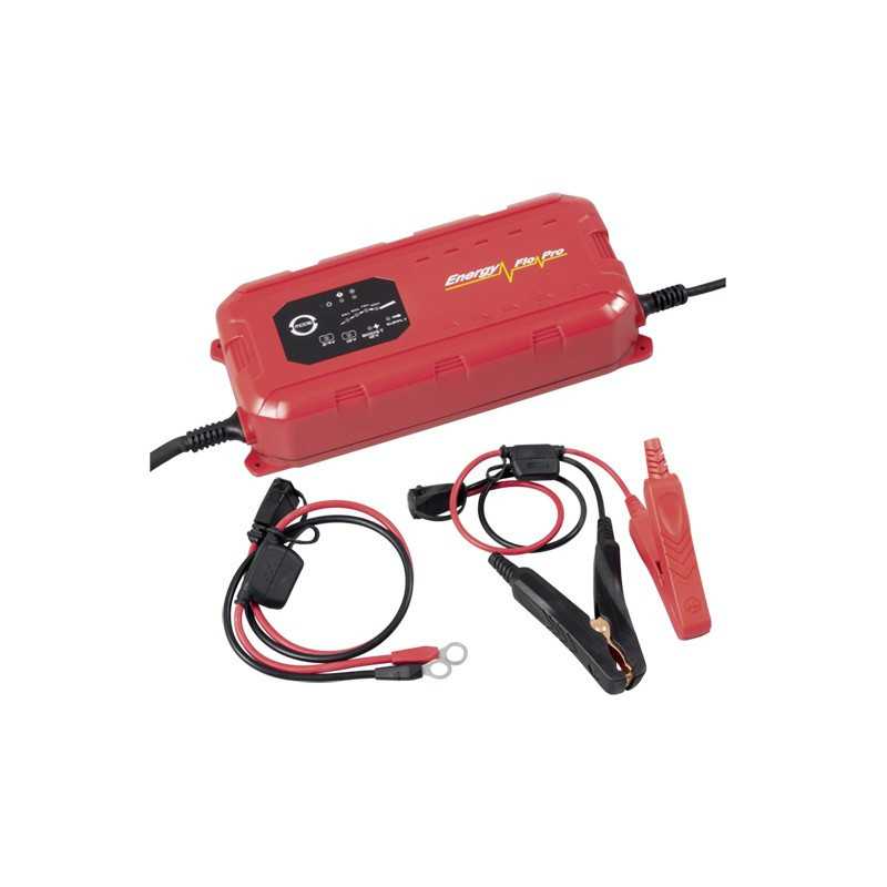 Chargeur batterie intelligent 12V/24V 25A 31314