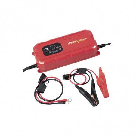 Chargeur batterie intelligent 12V/24V 25A 31314