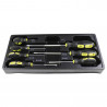 MODULE + 7 TOURNEVIS PLATS POUR SERVANTE D'OUTILS 10676