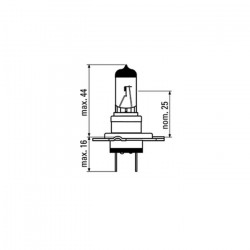 AMPOULE OBN H7 55W 52365