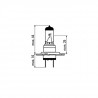 AMPOULE OBN H7 55W 52365