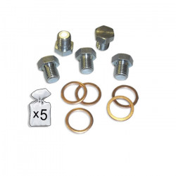 BOUCHONS DE VIDANGE M13x1.5P 51403