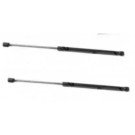 2x Verin de Coffre - Dacia Logan 2007- 10100315*2 2x Verin de Coffre - Dacia Logan 2007- 10100315*2