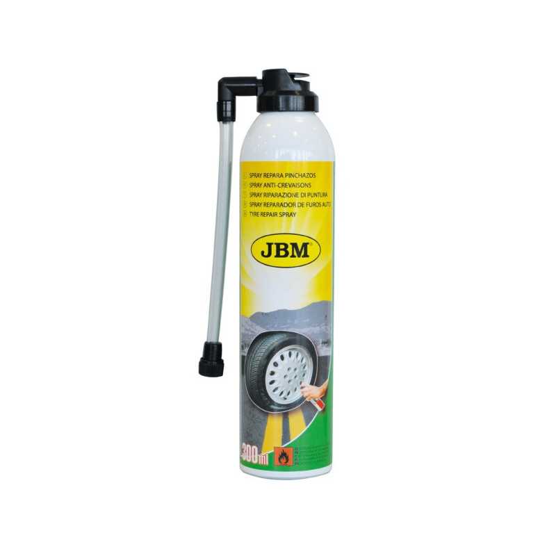 AEROSOL ANTI-CREVAISONS 300ML 51814