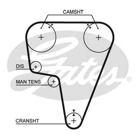 Courroie de distribution Alfa Romeo : 6, 75, 90, 164, GTV, RZ, SZ 5125