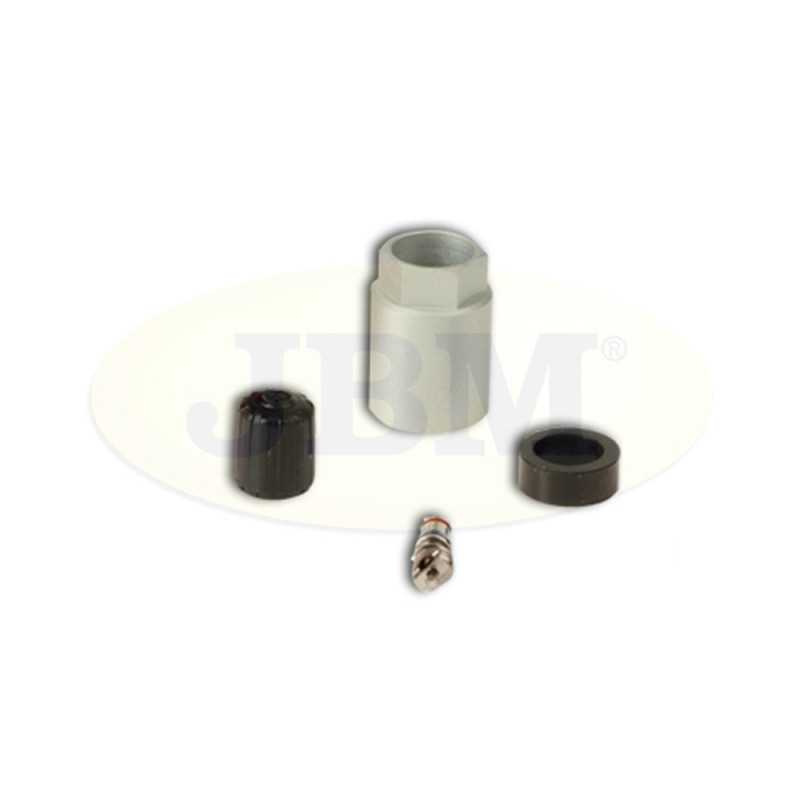 KIT DE REMPLACEMENT TPMS SCH GEN 2/3 12905