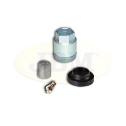 KIT DE REMPLACEMENT TPMS PACIFIQUE - LEXUS / TOYOTA 12904