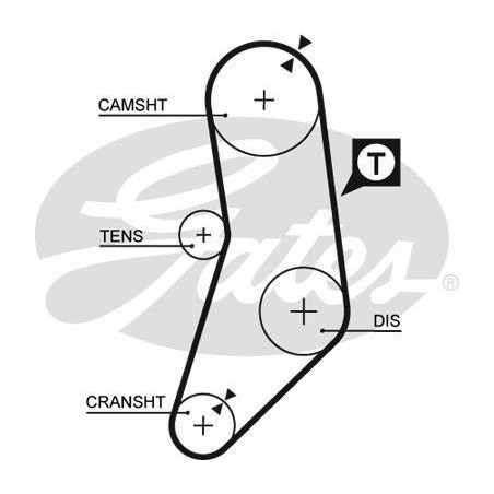 Courroie de distribution BMW : Série 3 ( E21, E28 ) , Série ( E28, E34 ) , Z1 G5077