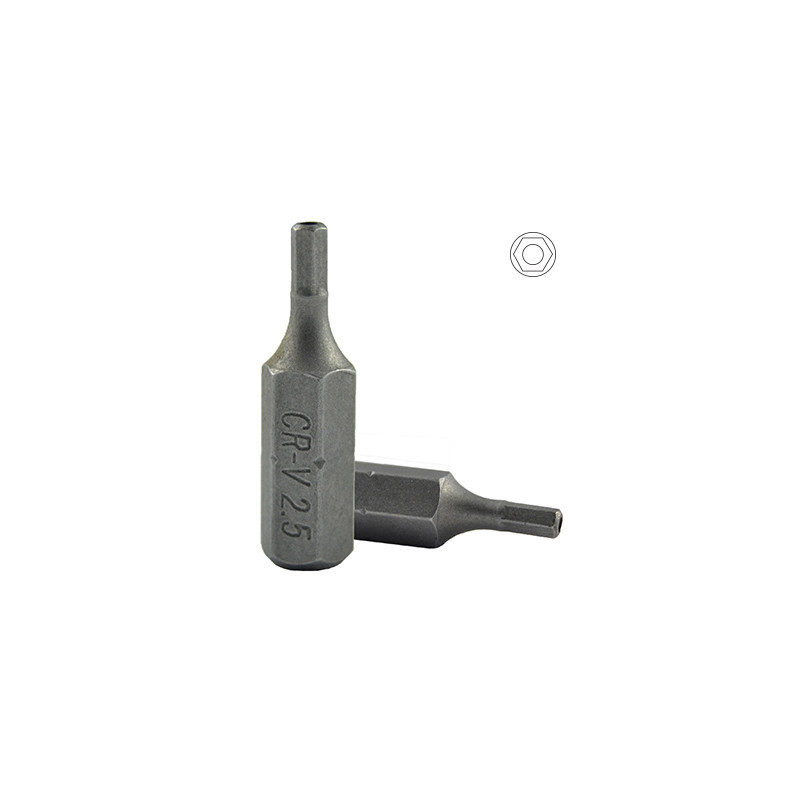 1x M6 POINTE ALLEN INV. DU H2.5 10280