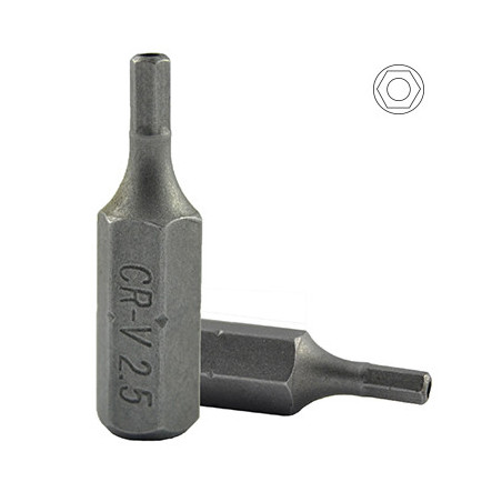 1x M6 POINTE ALLEN INV. DU H2.5 10280