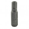 M6 POINTE ALLEN INV. DU H5 10283
