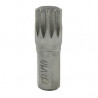 EMBOUT POINTE 8 XZN 10MM CHROME 13646