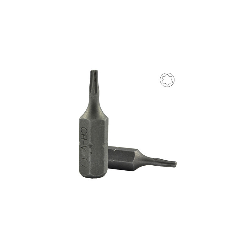 M6 POINTE ALLEN - TORX T7 10287