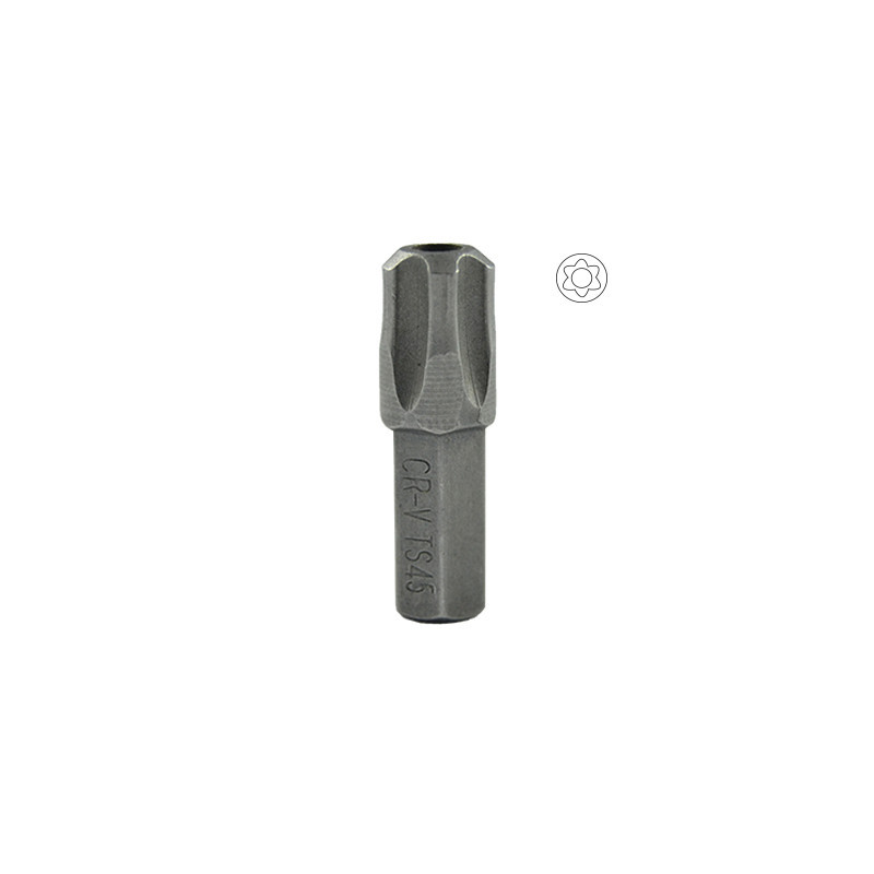 M6 POINTE ALLEN AVEC TORX INV. 45 10304