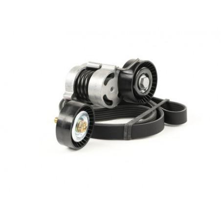 Tendeur De Courroie Compatible BMW Série 1, 3, 5, 6, 7, X1, X3, X5... - Référence 11287535860 - Essence