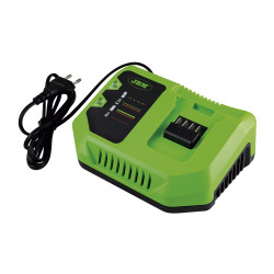 CHARGEUR 20 V 60016