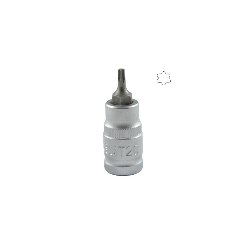 1/2 Pouce Torx Pointe T20 55MML 10013
