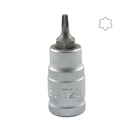 1/2 Pouce Torx Pointe T20 55MML 10013