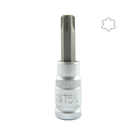 1/2 Pouce Torx Pointe T55 55MML 10019