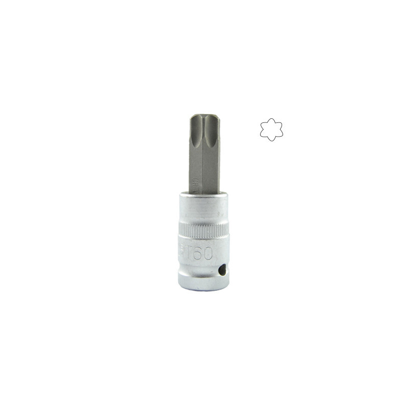 1/2 Pouce Torx Pointe T60 55MML 10020