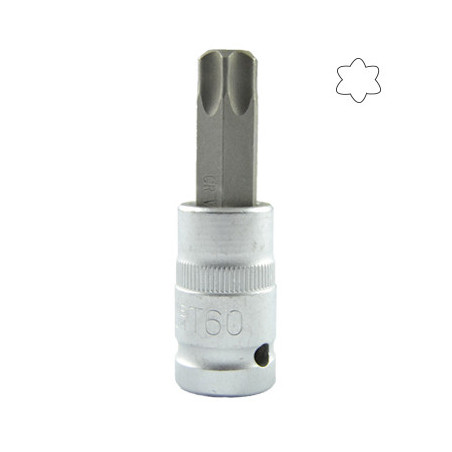 1/2 Pouce Torx Pointe T60 55MML 10020