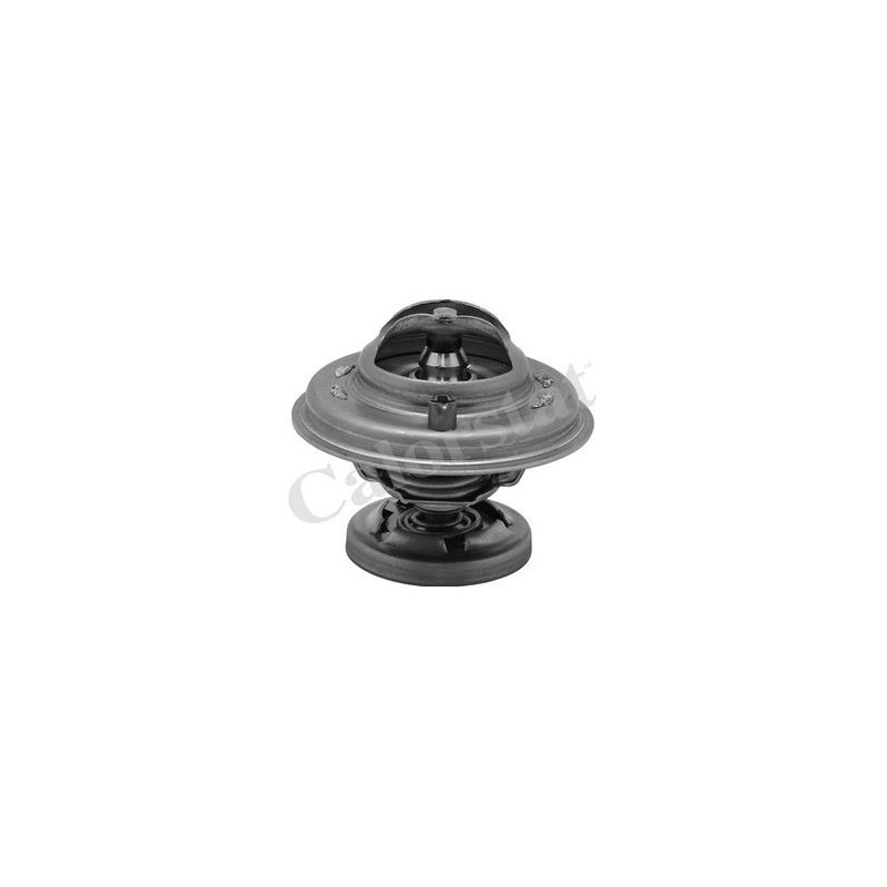 Thermostat d'eau : Daewoo , Mercedes , Korando TH5699.85J VH