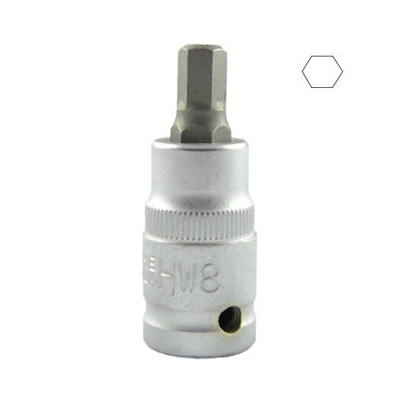 1/2 Pouce HEX Pointe H8 55MML 10028