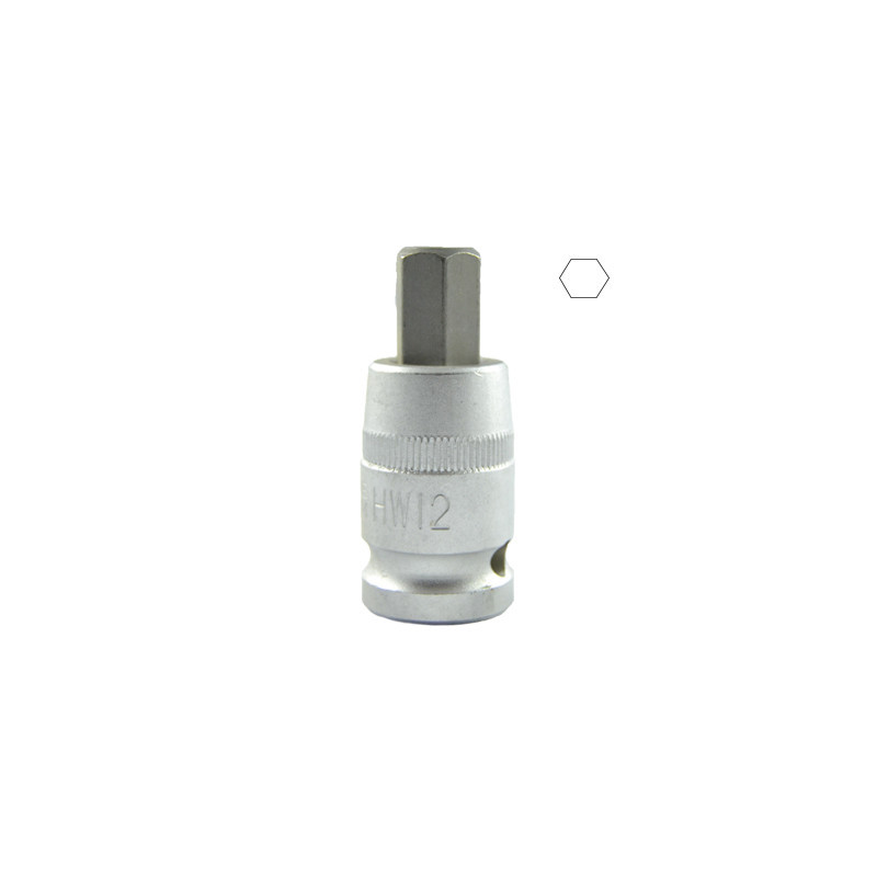 1/2 Pouce HEX Pointe H12 55MML 10030