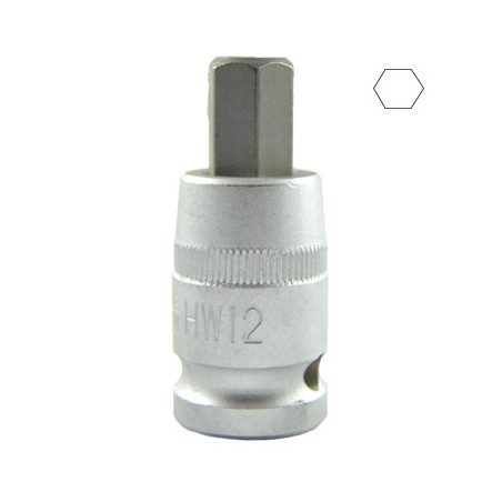1/2 Pouce HEX Pointe H12 55MML 10030