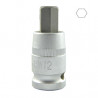 1/2 Pouce HEX Pointe H12 55MML 10030