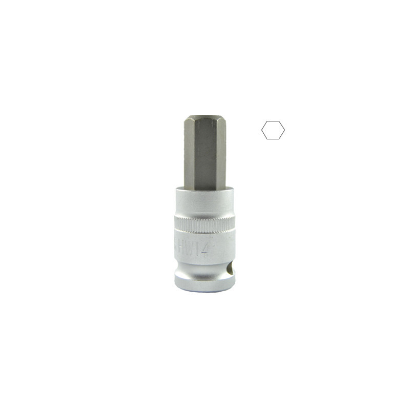 1/2 Pouce HEX Pointe H14 55MML 10031
