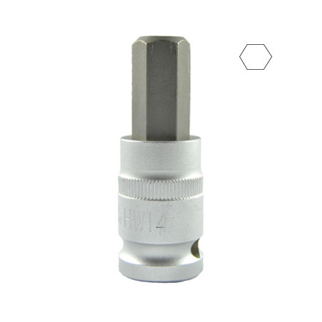 1/2 Pouce HEX Pointe H14 55MML 10031